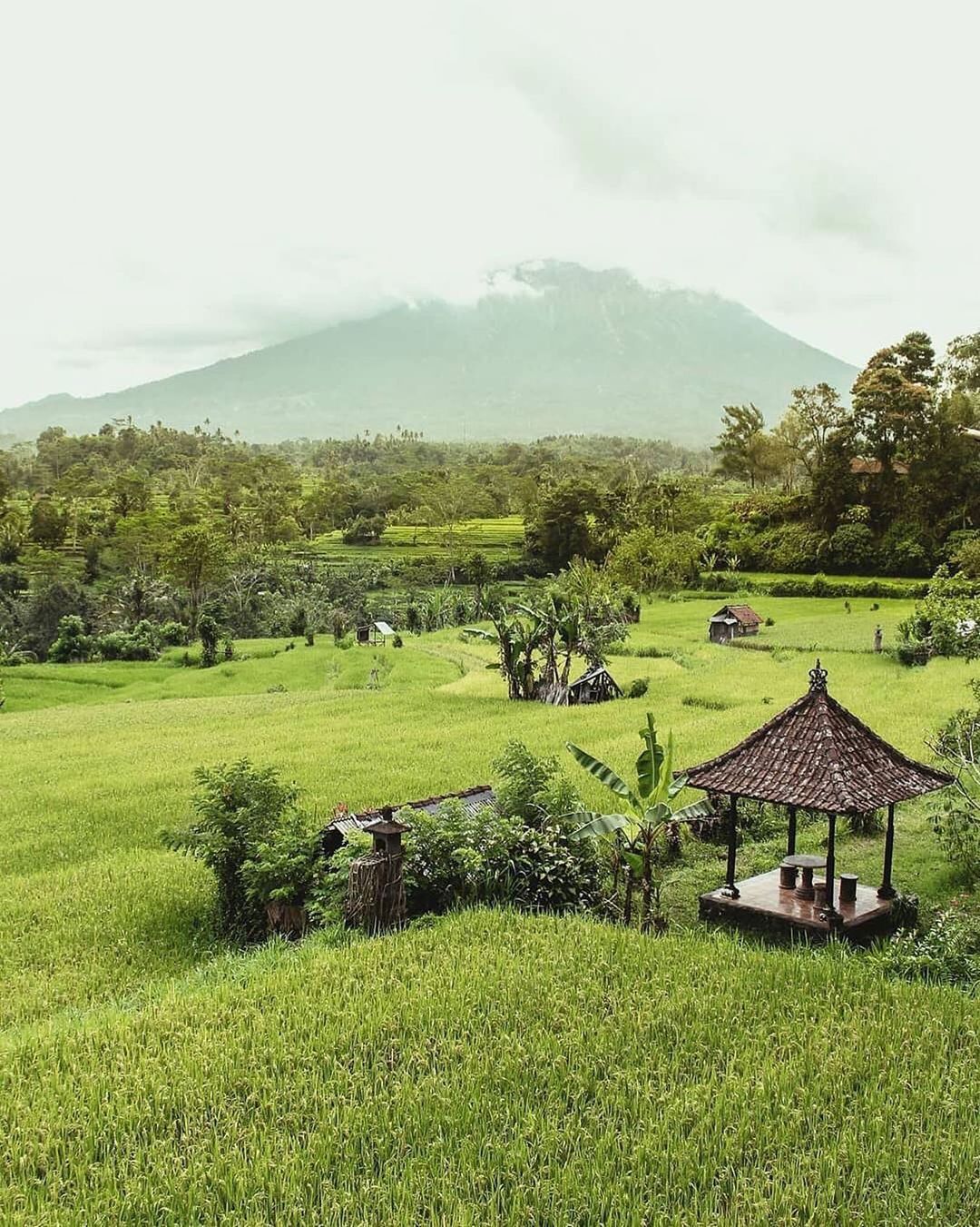 Sustainable Tourism in Bali
