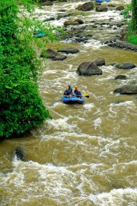 Unleash Your Adventurous Spirit Bali's Best Water Sports Activities