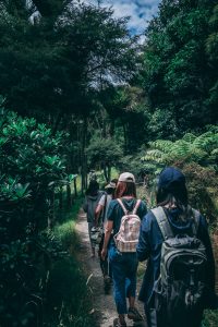 Bali's Natural Treasures : Best Hiking Trails and Nature Walks