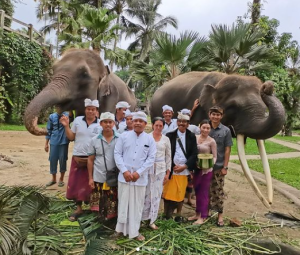 Protecting Endangered Animals in Bali