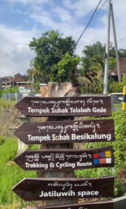 Exploring Jatiluwih Rice Terrace Tabanan Bali