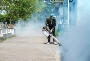 The Secret Weapon Mosquito Control in Bali