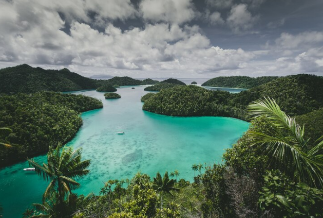 Borneo Island Nature Paradise